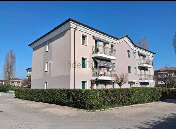 appartamento in vendita a Vigonovo