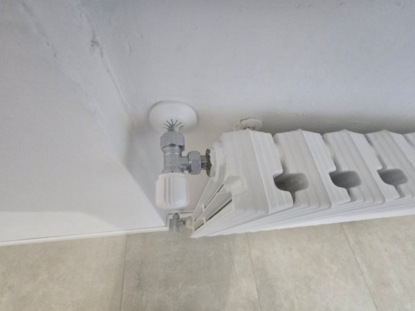 casa indipendente in vendita a Vigonovo