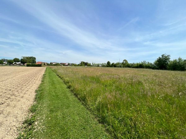terreno agricolo in vendita a Vigonovo in zona Galta