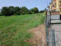 terreno agricolo in vendita a Vigonovo in zona Galta