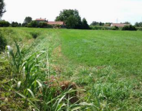 terreno agricolo in vendita a Vigonovo in zona Galta