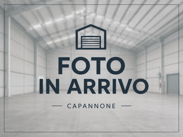 capannone in vendita a Vigonovo