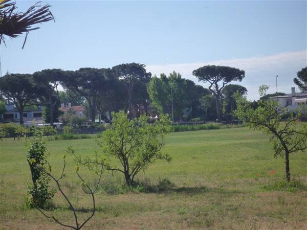 terreno agricolo in vendita a Cavallino-Treporti in zona Ca' Savio