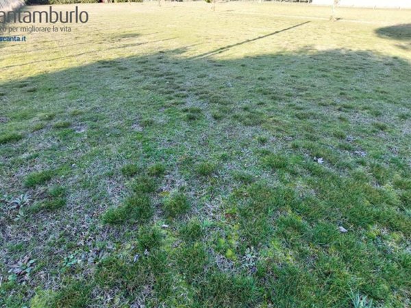 terreno agricolo in vendita a Cavallino-Treporti in zona Cavallino