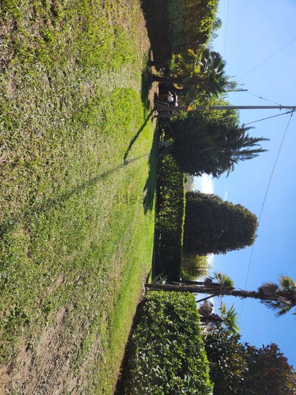 casa indipendente in vendita a Cavallino-Treporti