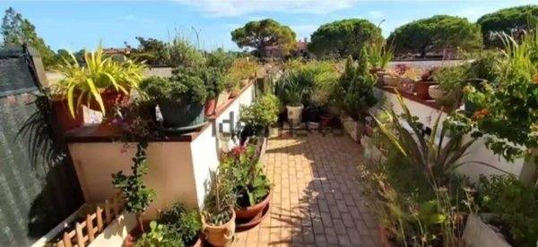 appartamento in vendita a Cavallino-Treporti