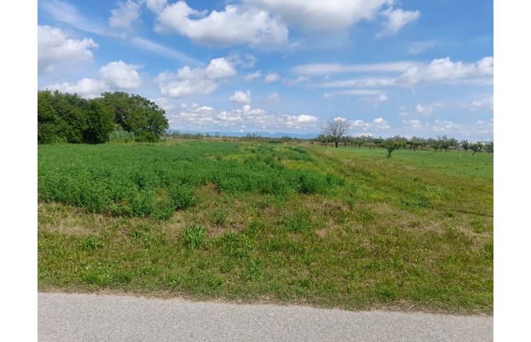 terreno agricolo in vendita a Cavallino-Treporti