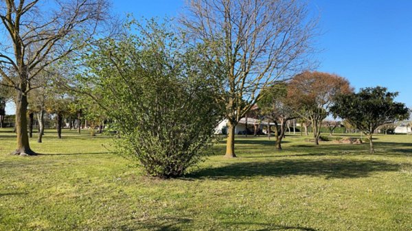 casa indipendente in vendita a Cavallino-Treporti in zona Cavallino