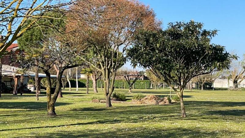 casa indipendente in vendita a Cavallino-Treporti in zona Cavallino
