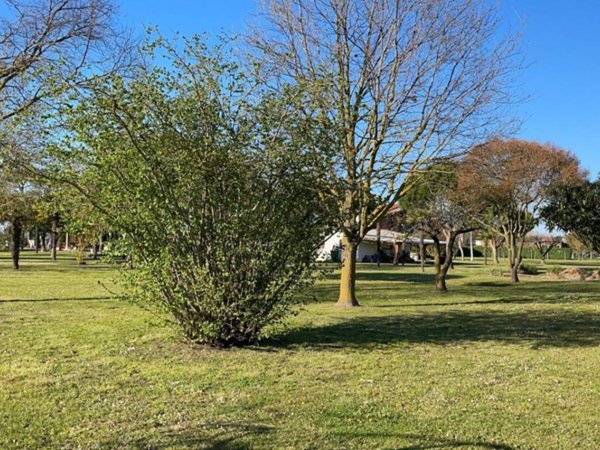 casa indipendente in vendita a Cavallino-Treporti in zona Cavallino