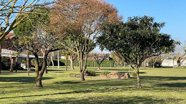 casa indipendente in vendita a Cavallino-Treporti in zona Cavallino