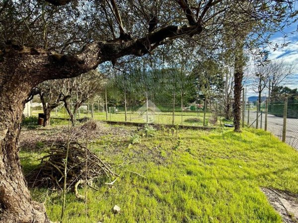 casa indipendente in vendita ad Abano Terme in zona Monteortone