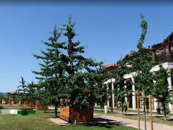 negozio in vendita ad Abano Terme