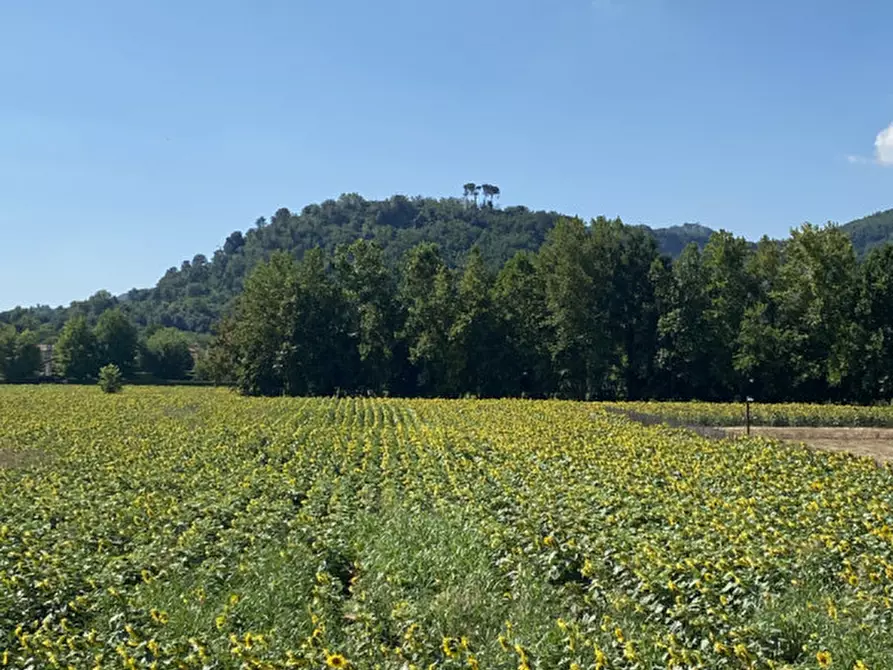 casa indipendente in vendita ad Abano Terme