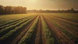 terreno agricolo in vendita ad Abano Terme