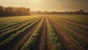 ufficio in vendita ad Abano Terme