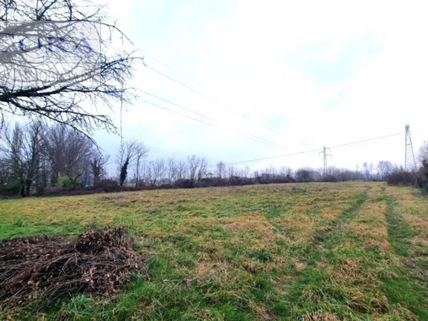 terreno agricolo in vendita ad Abano Terme