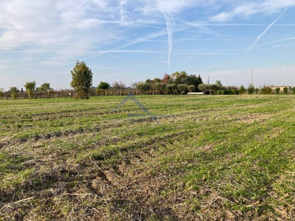 terreno agricolo in vendita ad Abano Terme