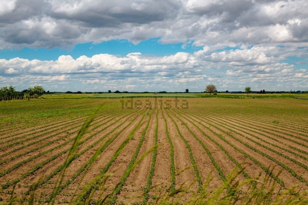 terreno agricolo in vendita ad Abano Terme in zona Monterosso