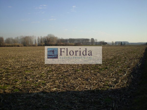 terreno agricolo in vendita ad Agna