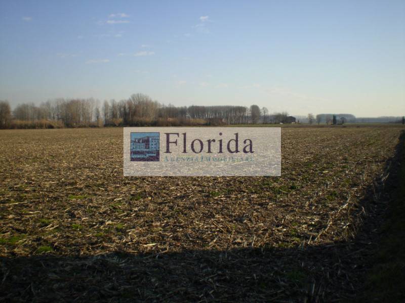 terreno agricolo in vendita ad Agna