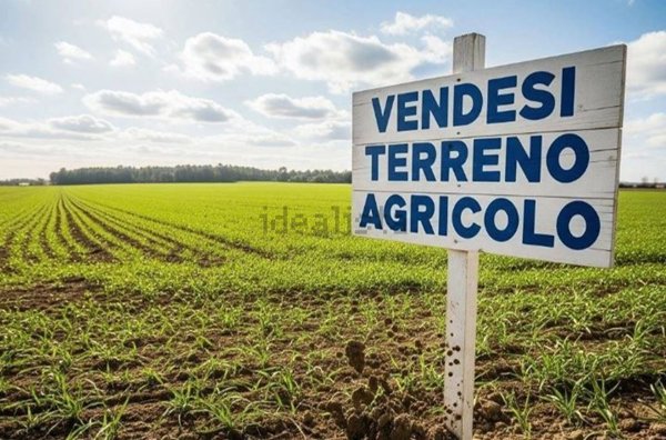 terreno agricolo in vendita ad Agna
