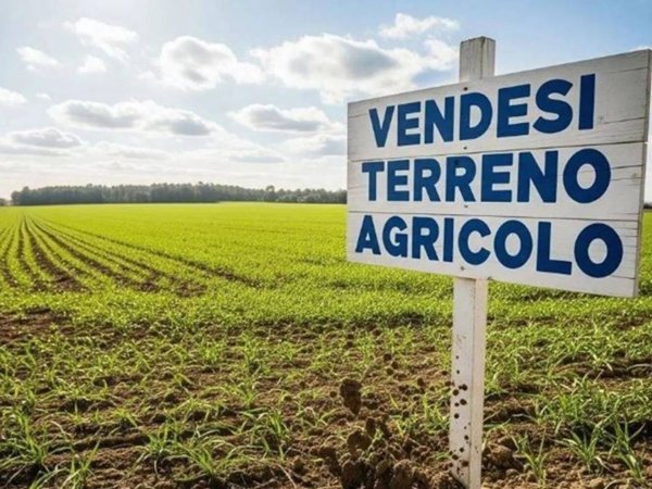 terreno agricolo in vendita ad Agna