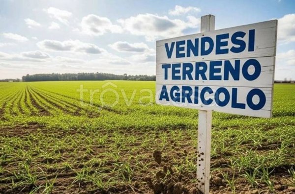 terreno agricolo in vendita ad Agna