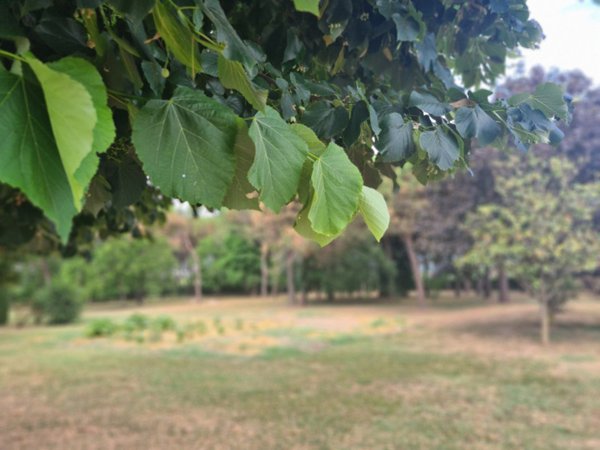 casa indipendente in vendita ad Agna