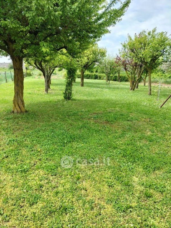 casa indipendente in vendita ad Albignasego in zona Mandriola