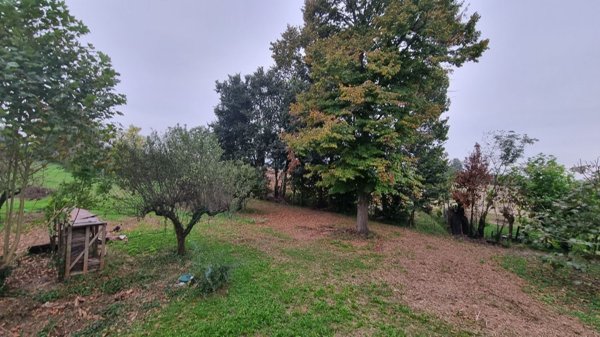 casa indipendente in vendita ad Albignasego