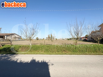 casa indipendente in vendita ad Albignasego