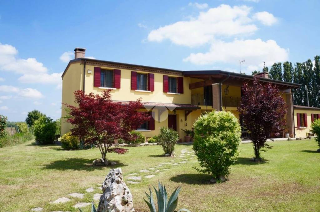 casa indipendente in vendita ad Albignasego