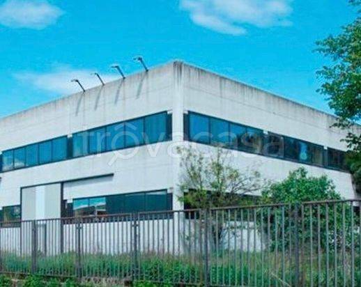 locale commerciale in vendita ad Albignasego