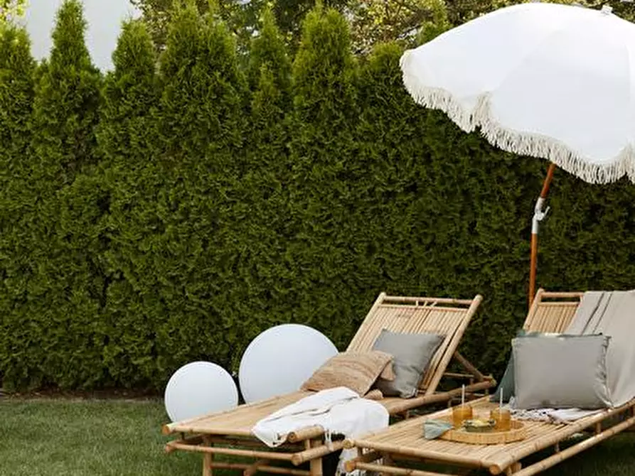 immagine annuncio 0 di 1