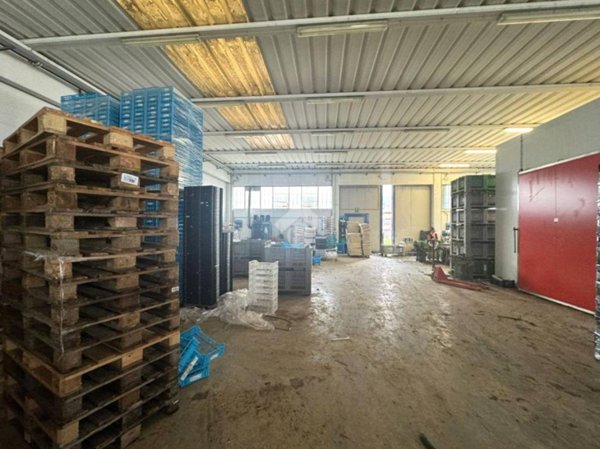 locale commerciale in vendita ad Albignasego