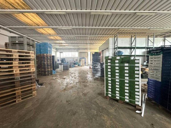 locale commerciale in vendita ad Albignasego