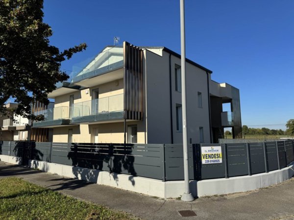 casa indipendente in vendita ad Albignasego