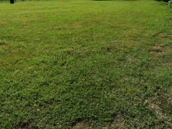 terreno agricolo in vendita ad Albignasego