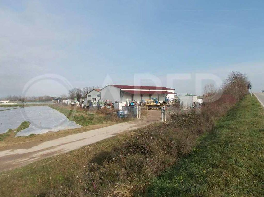 locale commerciale in vendita ad Albignasego