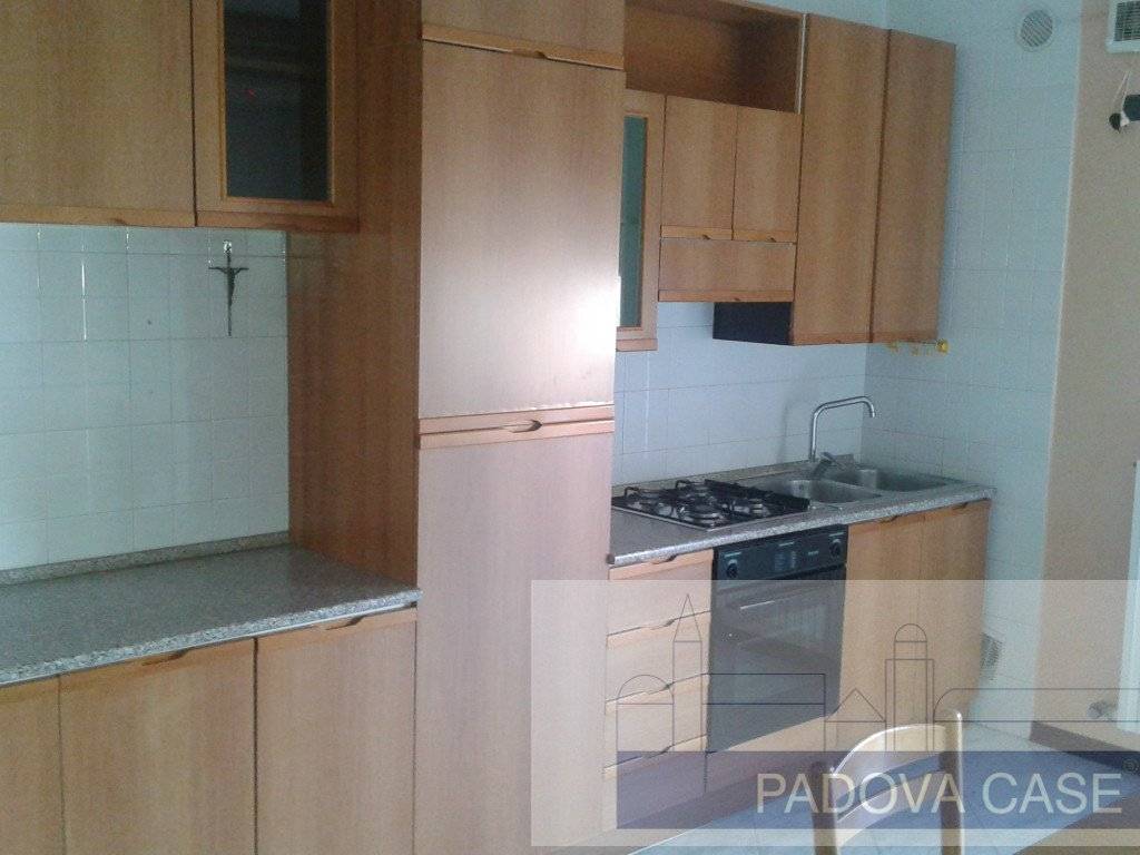 appartamento in vendita ad Albignasego in zona Lion
