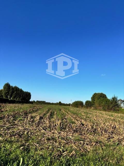 terreno agricolo in vendita ad Albignasego in zona Lion