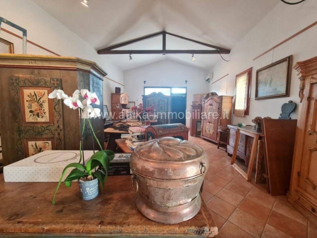 negozio in vendita ad Albignasego in zona Mandriola