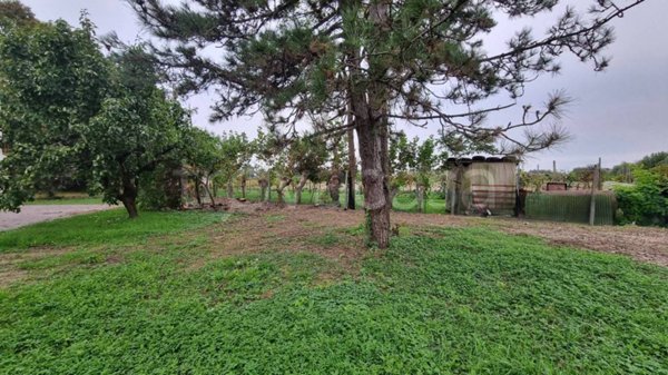 casa indipendente in vendita ad Albignasego