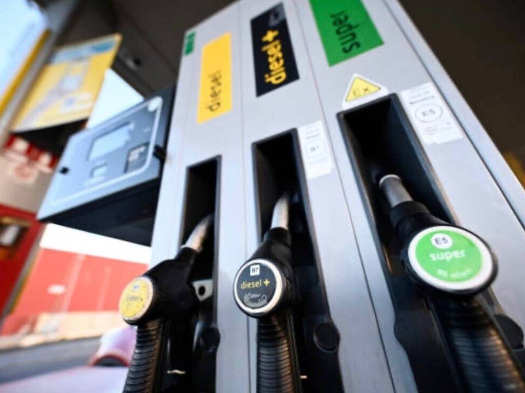 negozio in vendita ad Albignasego in zona Lion