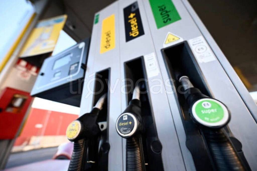 negozio in vendita ad Albignasego