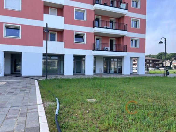 negozio in vendita ad Albignasego in zona Mandriola