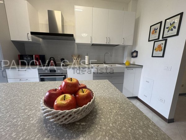 appartamento in vendita ad Albignasego in zona Lion