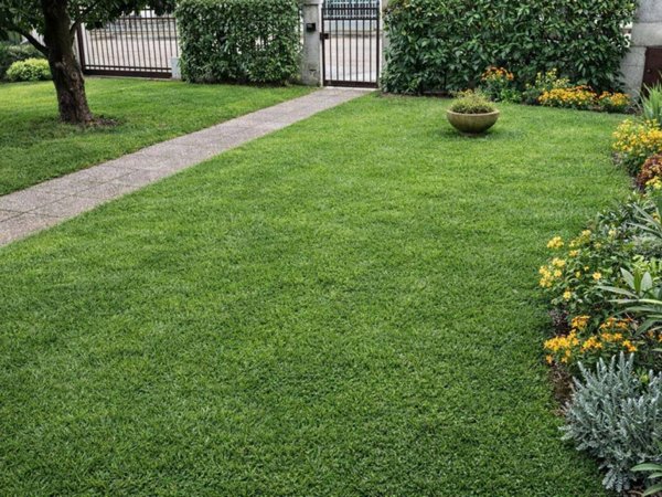 casa indipendente in vendita ad Albignasego