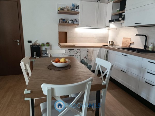 appartamento in vendita ad Albignasego in zona Lion